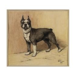 Lot 189 - Cecil Aldin British, 1870-1935 A BOSTON...