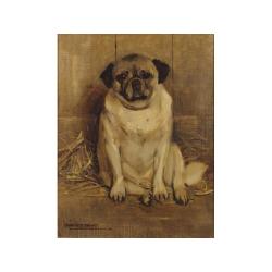 Lot 211 - Sam Fulton British, 1855-1941 A PUG Signed SAM...