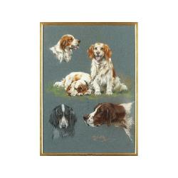 Lot 218 - Thomas Blinks British, 1860-1912 SPORTING DOGS...