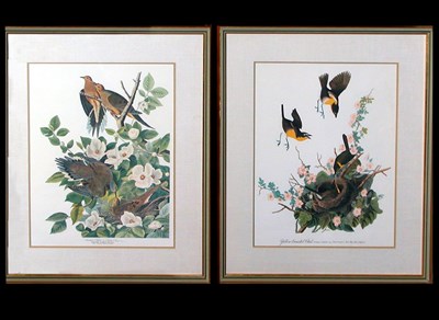 Lot 101 - After John James Audubon CAROLINA PIGEON and...