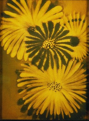 Lot 54 - Ross Bleckner American, b.1949 UNTITLED Signed,...