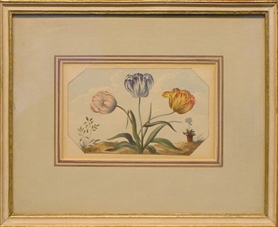Lot 88 - Continental School 19th/20th Century TULIPS...