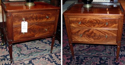 Lot 294 - Pair of Louis XVI Style Mahogany Side Cabinets