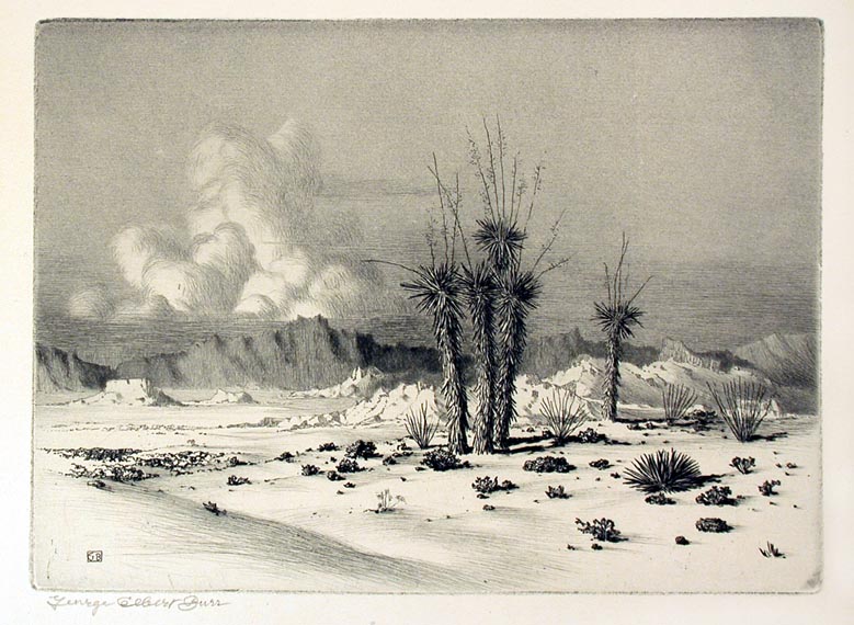 Lot 168 - George Elbert Burr EVENING, ARIZONA (SEEBER...