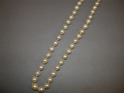 Lot 344 - Cultured Pearl Necklace The single strand...