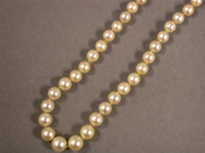 Lot 340 - Single Strand Cultured Pearl Necklace
