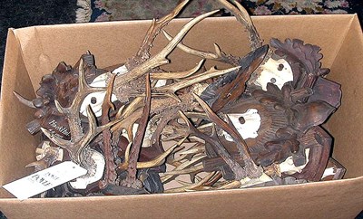 Lot 179 - Miscellaneous Group of Antlers and Horns...