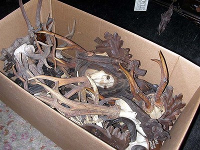 Lot 183 - Miscellaneous Group of Antlers and Horns...