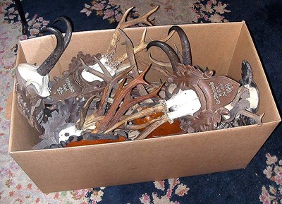 Lot 185 - Miscellaneous Group of Antlers and Horns...
