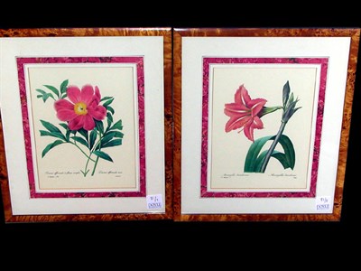 Lot 81 - After Pierre-Joseph Redoute [FLORAL STUDIES]...