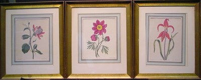 Lot 32 - Manner of Titian Peale JACOBEAN AMARYLLYS FROM...