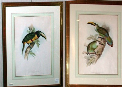Lot 94 - John Gould PTEROGLOSSUS PRASINUS and...