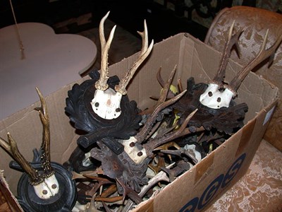 Lot 547 - Miscellaneous Group of Horns and Antlers...