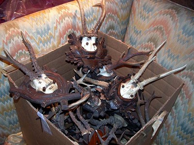 Lot 549 - Miscellaneous Group of Horns and Antlers...
