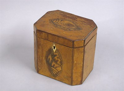 Lot 470 - George III Satinwood Tea Caddy