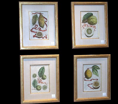Lot 94 - Giovanni Battista Ferrari [CITRUS FRUIT...