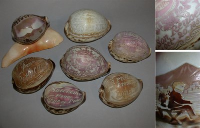 Lot 309 - Group of Seven Carved and Inscribed Shells
