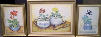 Lot 2 - 20th Century School POTTED PLANTS: THREE Each...