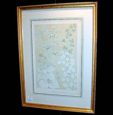 Lot 106 - Owen Jones LEAVES FROM NATURE NO. 6 and LEAVES...