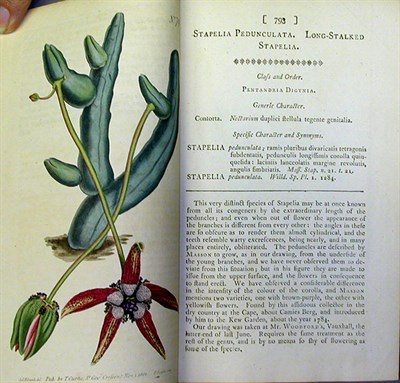 Lot 75 - CURTIS, WILLIAM Curtis's Botanical Magazine;...