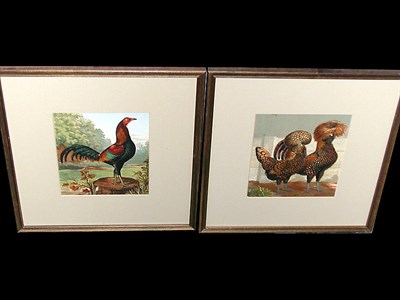 Lot 82 - After Ludlow [BIRDS] Four chromolithographs....