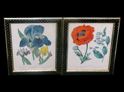 Lot 65 - After Sydenham Edwards [FLORAL STUDIES] Six...