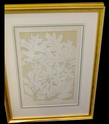 Lot 81 - Owen Jones LEAVES FROM NATURE NO. 4 and LEAVES...