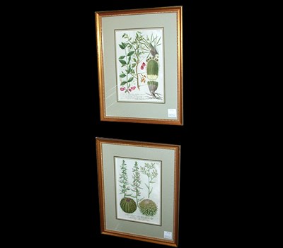Lot 89 - After Johann Weinmann [FLORAL STUDIES] Two...