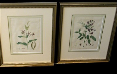 Lot 91 - Jean Henri Saint-Hilaire OROBE PRINTANIER and...