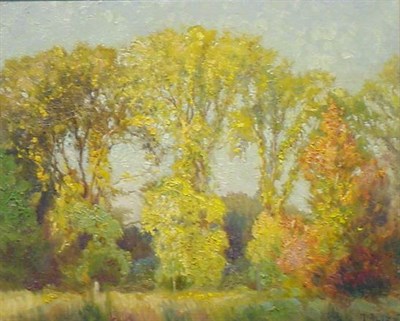 Lot 200 - Mathias Joseph Alten 1871-1938 FIRE OF FALL,...