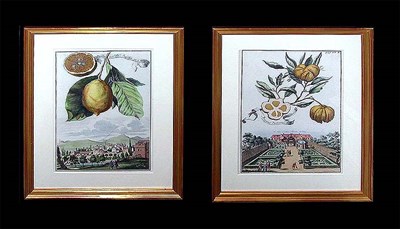 Lot 90 - Artist Unknown [CITRUS AND LANDSCAPES} Three...