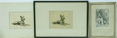 Lot 81 - Morgan Dennis HERE TODAY - GONE TOMORROW;...