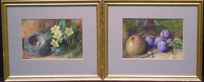 Lot 45 - Charles Henry Slater British, 1820-1890 BIRD'...