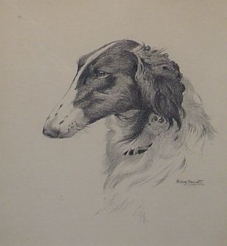 Lot 144 - Sidney Barrett 20th Century HEAD STUDY OF A...