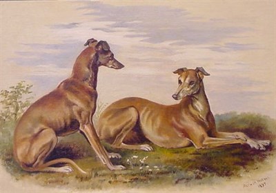 Lot 218 - Arthur Nicoll 19th/20th Century RED WHIPPETS...