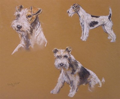 Lot 116 - Ursula White 20th Century WIREHAIRED FOX...