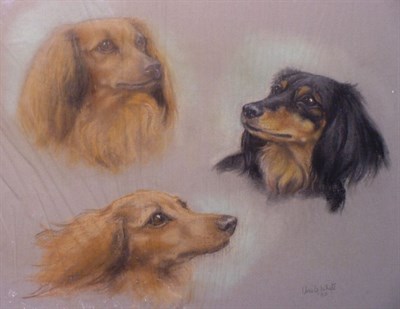 Lot 114 - Ursula White 20th Century HEAD STUDIES OF...