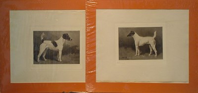 Lot 85 - After John Emms [FOX TERRIERS]: TWO...