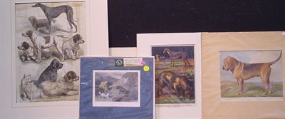 Lot 101 - Vincent Brooks, Day & Son, Lithographers...