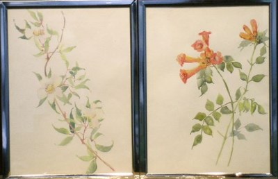 Lot 47 - Indian School 19th Century FLORAL STUDIES: SIX...