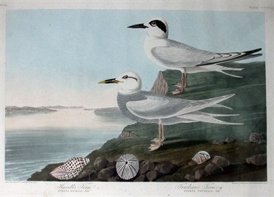 Lot 41 - After John James Audubon HAVELL'S TURN,...