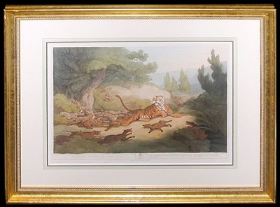 Lot 77 - Samuel Howitt A TIGER HUNTED BY WILD DOGS Hand-...