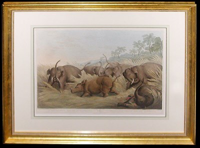 Lot 76 - Samuel Howitt A RHINOCEROS HUNTED BY ELEPHANTS...