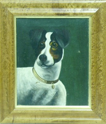 Lot 117A - British School 19th/20th Century JACK RUSSELL...