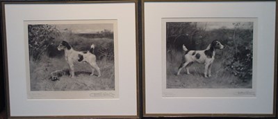 Lot 102 - Arthur Wardle TERRIERS: TWO Photoreproductions,...