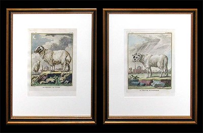 Lot 73 - After De Seve LE MOUTON DE BARBARIE and LE...