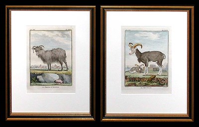 Lot 67 - After De Seve LE MOUTON and LA BREISIS...