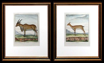 Lot 76 - After De Seve LE CANNA and L'OUREBI Two...