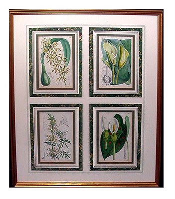 Lot 43 - Walter Fitch [FLORAL STUDIES] Eight...