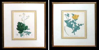 Lot 75 - Hocquart [FLORAL STUDIES] Four hand-colored...